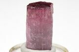 Terminated, Magenta Rubellite Tourmaline - Cruzeiro Murta, Brazil #209373-1